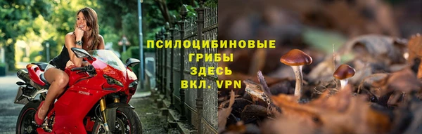 мет Абаза
