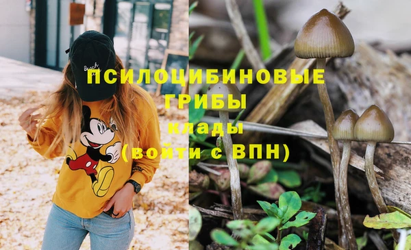 амфетамин Абинск