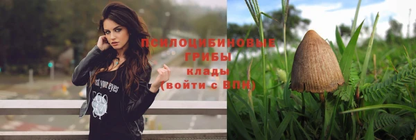мет Абаза