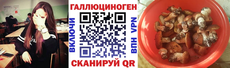 Галлюциногенные грибы мухоморы  Елизово 